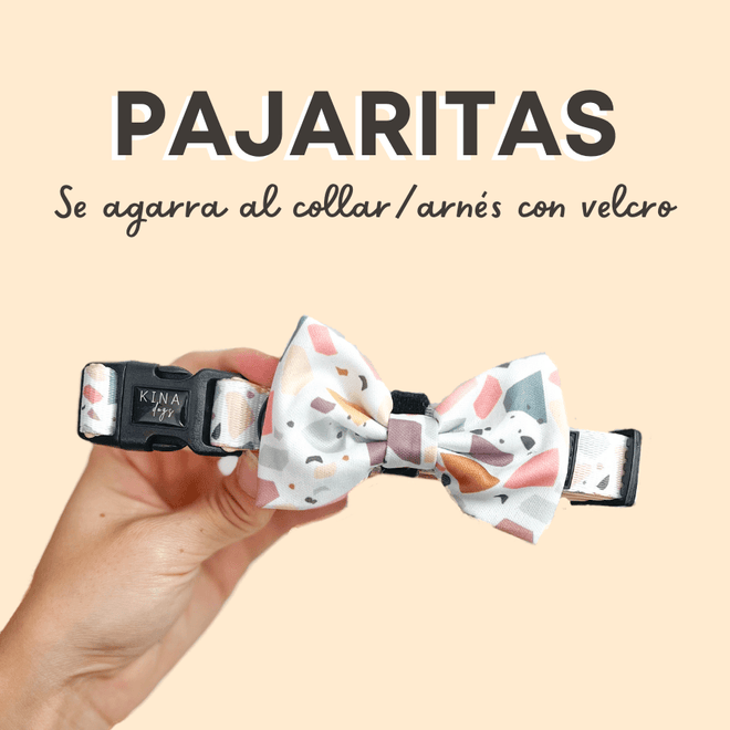 PAJARITAS