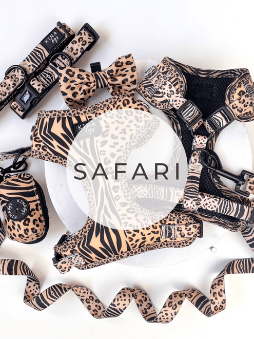 SAFARI