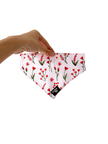 Bandana - Red Spring - KINADOGS