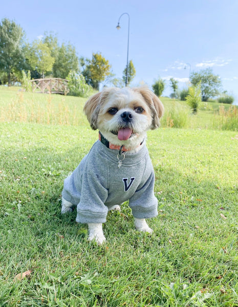 Sudadera para Perro - Gris - KINADOGS