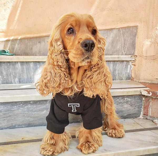 Sudadera para Perro - Negro - KINADOGS