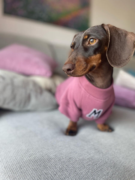 Sudadera para Perro - Rosa - KINADOGS