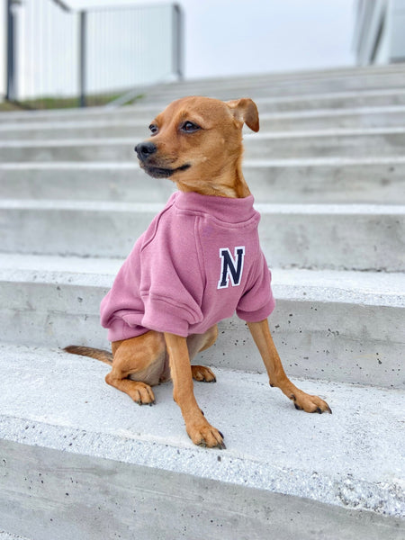 Sudadera para Perro - Rosa - KINADOGS