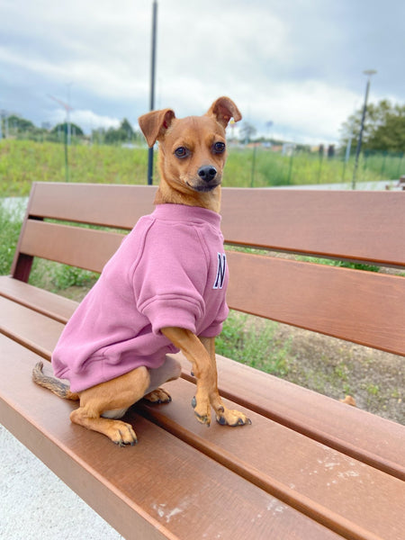 Sudadera para Perro - Rosa - KINADOGS