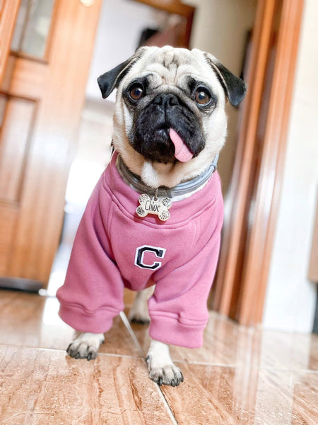 Sudadera para Perro - Rosa - KINADOGS